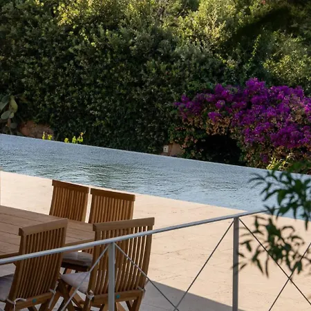 Dea Overlooking The Harbor Of